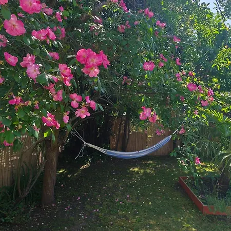 La Maison Du Bonheur *